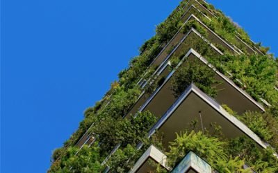 Sustainability = Purpose + Prosperity + Innovation