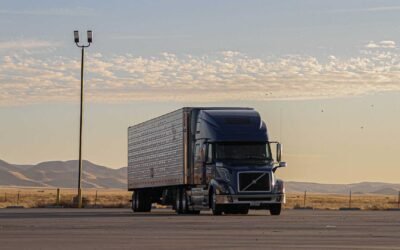 Major LCV Competitors in the EMEA Region