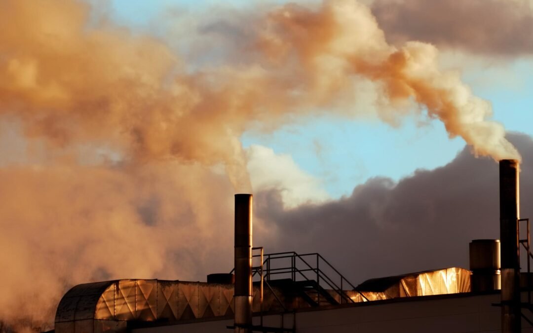 COP27: The Fight to Keep the 1.5°C Goal Alive